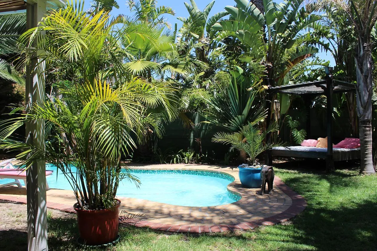 *** Guest house Elements Cape Town Hotel Table View South Africa